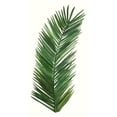 thumbnail image 3 of McCavitt, Naomi 9x14 Black Modern Framed Museum Art Print Titled - Tropical Breeze Leaves V, 3 of 5