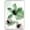 FLOWER-M02, variant on wall26 Framed Canvas Wall Art Large Green and Pink Flowers Floral Plants Watercolor Abstract Contemporary Expressive for Living Room, Bedroom, Office - 24x36 inches