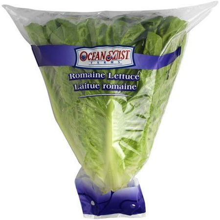 ROMAINE LETTUCE