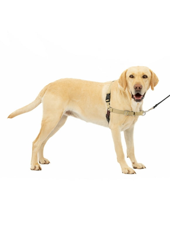 PetSafe Easy Walk No-Pull Dog Harness  Perfect for Leash & Harness Training