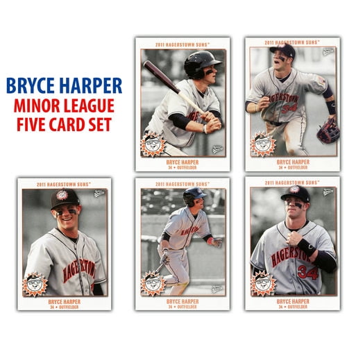 2019 Harrisburg Senators Team Card Set Pick Your Card 