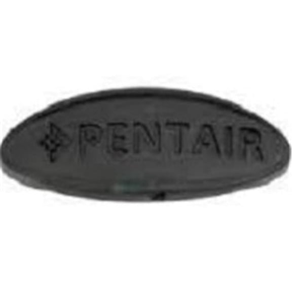 Pentair 360258, Black