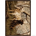 thumbnail image 2 of Allstar African Contours Collection Dogs Area Rug (5' 2" x 7' 1"), 2 of 7