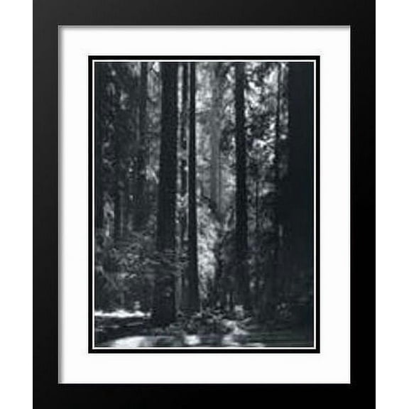 Ansel Adams Framed and Double Matted 25x29 "Redwoods, Founder's Grove"