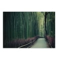 thumbnail image 1 of Travel Cutting Board, Bamboo Grove in Arashiyama Kyoto Japan, Decorative Tempered Glass Cutting and Serving Board, in 3 Sizes, by Ambesonne, 1 of 2