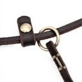 thumbnail image 6 of Pet Artist Dog Slip Leash Small Dog Pet Puppy Leather Training Walking Leashes 4ft 5ft, 6 of 10
