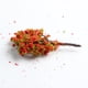 thumbnail image 5 of 5 Unid Modelo Plástico Árboles Frutales Tren Ferrocarril Paisaje Planta DIY (7 cm alto) Altura 70mm, 5 of 9