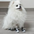 thumbnail image 3 of Zapatos para perros, zapatillas deportivas de lona para las cuatro estaciones, zapatos cálidos de suela suave para perros pequeños 1484, 3 of 6