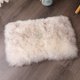 thumbnail image 1 of Asuprui Alfombrilla de piel de oveja para mascotas, 100% piel de oveja, almohadilla de lujo para jaula de perro, colchón de perrera autocalentable ultra suave y duradero para perros y gatos (blanco co, 1 of 1