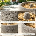 thumbnail image 5 of Pumice Stone Bird Feeder, Portable Stable Wear Resistant Dish, Natural Pumice Bird Feeder, Water Bowl for Food, Pellets or Water, 5 of 9