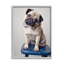Stupell Industries Pug Bow Tie Blue Stool Pet Portrait Photography, 11 x 14, Design by Michele Reed