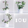 thumbnail image 2 of 3PCS Climbing Plants Trellis I Love You Shape Trellis Flower Supports Stakes Plant Cage Flowers Vines Racks Houseplants Trellis for DIY Indoor Outdoor Potted Plants, 2 of 8