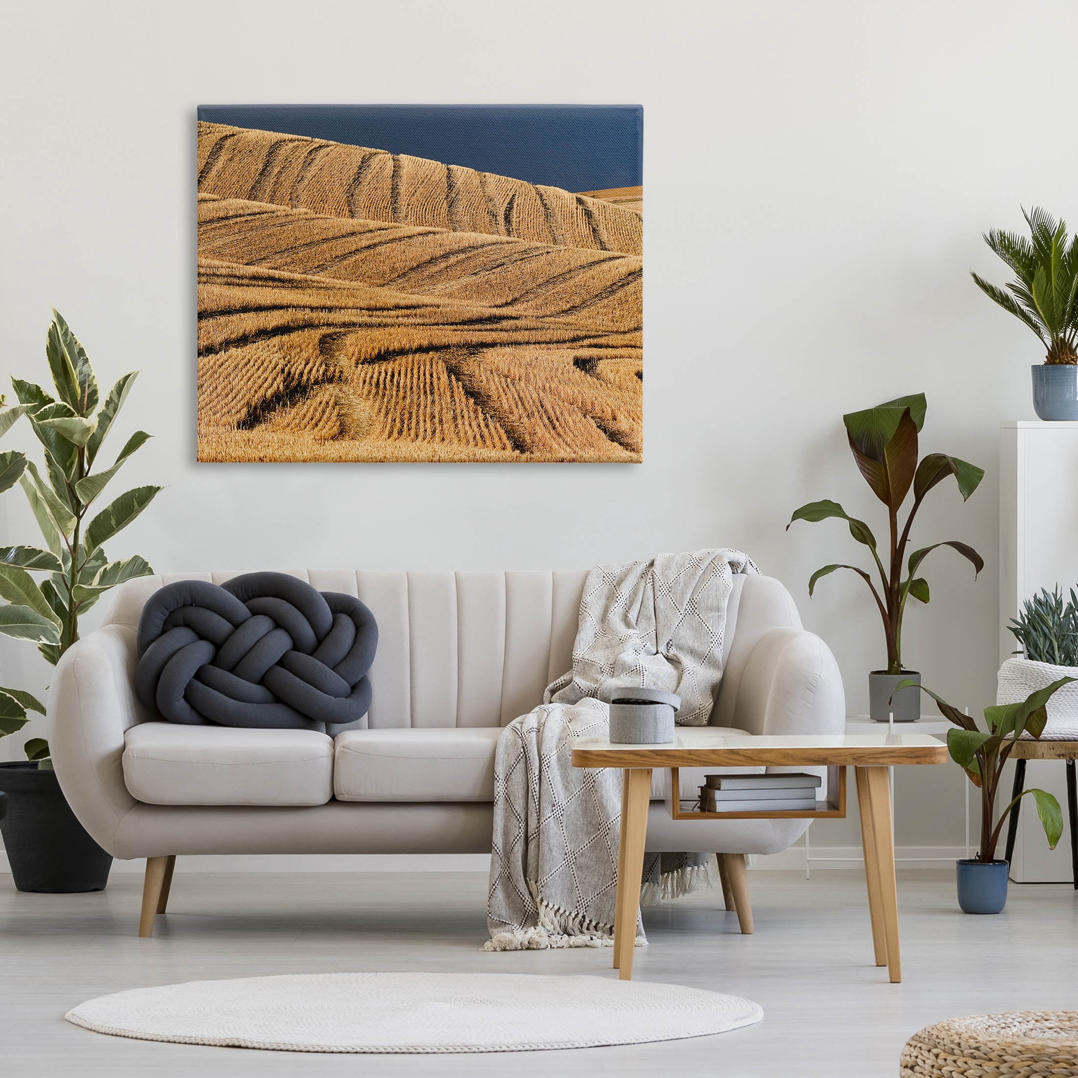 Stupell Industries Wavy Cornfield Lines Vast Rural Field Photograph Gallery Wrapped Canvas Print Wall Art, Design by David Lorenz