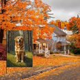 thumbnail image 4 of Golden Retriever Dog Large Garden Flag Durable Colorful Cartoon Golden Retriever Cute Dog Face Outdoor Garden Flags Happy Smile Puppy Stickers Yard Flags, for House Home 28x40in, 4 of 6