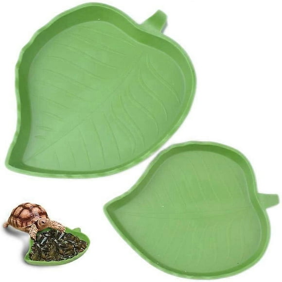 Pieces Reptile Food Water Bowl Turtle Waterer Reptile Dish for Small Pets Reptile, Tortoise, Lizard, Spider, Scorpion (Green)