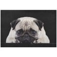 thumbnail image 1 of EREHome Set de 2 Sets de Table Chien Mignon Noir et Blanc, 12x18 Pouces, 1 of 5
