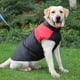 thumbnail image 3 of Ropa para mascotas, ropa de invierno abrigada para mascotas, abrigo de algodón para golden retriever, se puede tirar, 3 of 5