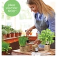 thumbnail image 3 of 9 Herb Window Garden Kit  - Best Gift Ideas for Women, Friend, Her, Mom - Birthday Gifts - Housewarming Present - House Plant Seeds, 3 of 7