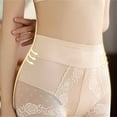 thumbnail image 3 of Ladies Mesh Semi Transparent Sexy Lace Ice Silk Breathable Mid Rise Comfortable Panties Women'S Underwear Briefs, 3 of 3