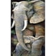 thumbnail image 2 of Elefante mamá e hijo pintura al óleo por números Kits lienzo DIY cuadro pintado a mano Likrtyny decoración de arte, 2 of 9