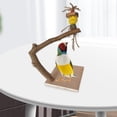 thumbnail image 4 of Bird Perch, with Base, Stand Pole, Bird Stand Toys for Small Medium Playground Cage Accessory Paw Grinding Stick, 4 of 6
