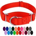 thumbnail image 1 of HSHDLDF 1 Inch Martingale Heavyduty Nylon Dog Collar Hot Orange Large, 1 of 7