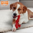 thumbnail image 3 of Nylabone Power Chew Lobster Dog Chew Toy Filet Mignon X-Large (1 Count), 3 of 14