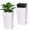 White, variant on EastVita 30 Inch Tall Planters Set of 2, Front Porch Self Watering Pots with Drainage Holes & Water Level Monitor & Inner Bucket
