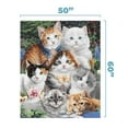 thumbnail image 7 of Dawhud Direct Kitten Fleece Blanket for Bed, 50" x 60", 7 of 7