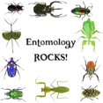 thumbnail image 2 of CafePress - Entomology Rocks Infant Bodysuit - Baby Light Bodysuit, Size Newborn - 24 Months, 2 of 4