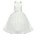 thumbnail image 3 of DPOIS Kids Lace Criss Cross Back Princess Flower Girl Tulle Dress, 3 of 4