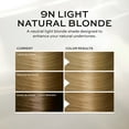 thumbnail image 5 of John Frieda Precision Foam Permanent Blonde Hair Color, Blonde Hair Dye, 9N, 1 Application, 5 of 10