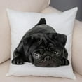 thumbnail image 3 of Cute Pug Dog Cushion Cover Both Sided Print Decor Pet Animal Pillowcase for Car Sofa Home Car Soft Plush Throw Pillow Case, 3 of 9