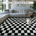 thumbnail image 4 of Pentantan 5ft x 8ft Shag Area Rugs for Living Room, Classic Checkered Fluffy Bedroom Carpet, Black & White, 4 of 8
