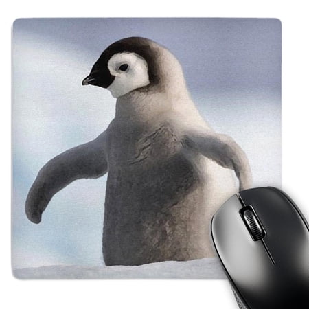 3dRose  Baby Penguin  MousePad price history on PriceWatchPro