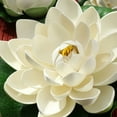 thumbnail image 3 of Artificial White Lotus Leaves Flowers Water Ponds Fake Lily Floating Pool home, 3 of 10