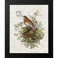thumbnail image 2 of Bailey, Ann 20x24 Black Modern Framed Museum Art Print Titled - Nesting 2, 2 of 5