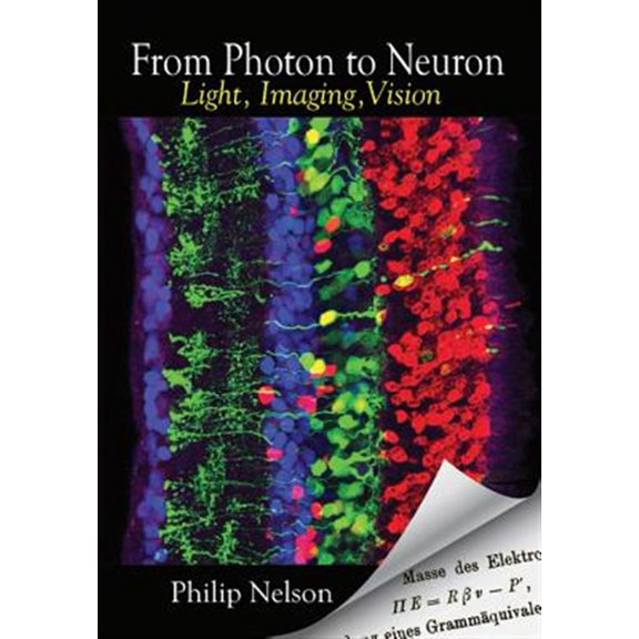 Pre-Owned From Photon to Neuron: Light, Imaging, Vision, (Paperback)