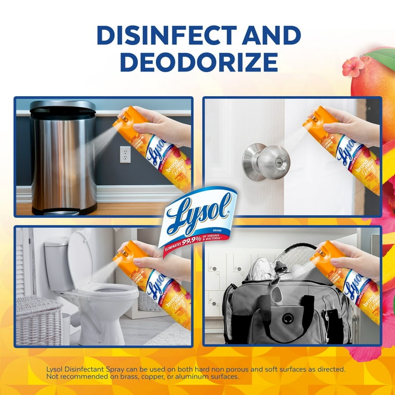 Lysol Disinfectant Spray Mango Hibiscus 19 fl oz 2 Pack Kills 99.9