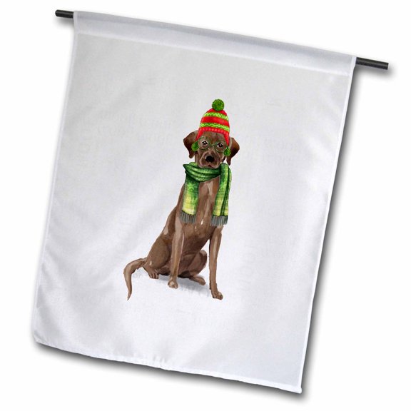 3dRose, Pet Lover Christmas a Chocolate Labrador Retriever Dog Funny, 18 x 27 inch Garden Flag