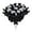 black and white, variant on Halloween Faux Rose Bushes, Xinsrenus Realistic Eyeball Flowers Decor, 10 Pack Black Red Rayon Gothic Rose Stems For Halloween Party Home Decorations