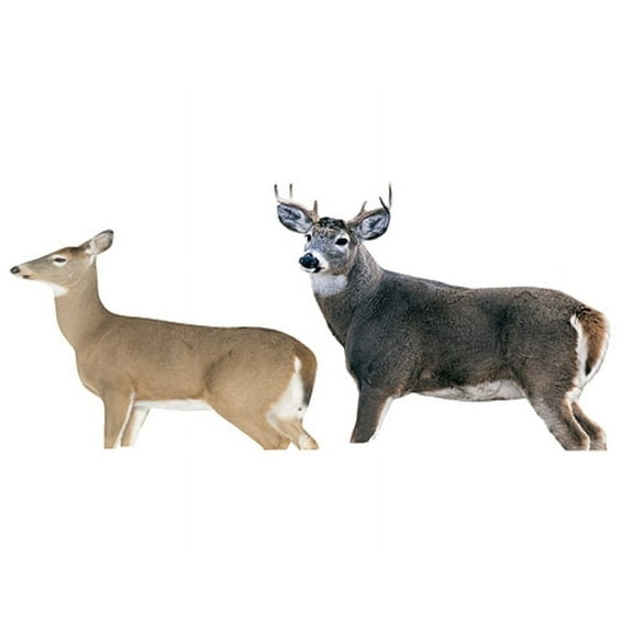 Montana Decoy Whitetail Dream Team Deer Decoy Combo