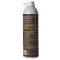 Amdro Quick Kill Carpenter Bee, Carpenter Ant & Termite Killer Foam; 18 oz.