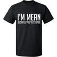 thumbnail image 2 of OXI T-Shirt - I Am Mean Because You Are Stupid, Basic Casual T-Shirt for Men's and Women Fleece T-Shirt Short Sleeve - Dark Heather 2X-Large, 2 of 3