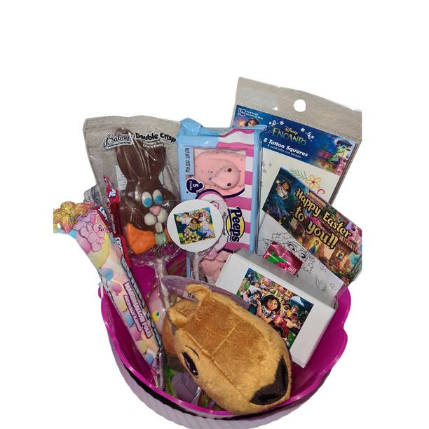 Encanto Gift Basket For Girls, Encanto Birthday Gift, Graduation, Fun Gift forkids
