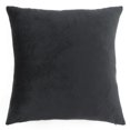 thumbnail image 2 of 45x45cm Solide Velours Coussin Décor Noir, 2 of 8