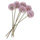 thumbnail image 4 of 6pcs delicados decores de flores falsas Arreglo de flores del hogar Props de hortensia falsa, 4 of 5