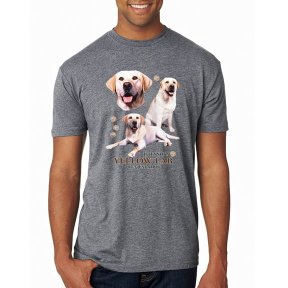 If It's Not a Yellow Lab It's Just a Dog Gift | Mens Dog Lover Premium Tri Blend T-Shirt, Premium Heather, Large