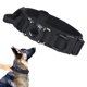 thumbnail image 1 of Collar táctico para perros Xqpetlihai impermeable con soporte para airtag, 1 of 7