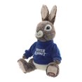thumbnail image 3 of PETER RABBIT Sitting Peter Rabbit Plush, 3 of 6